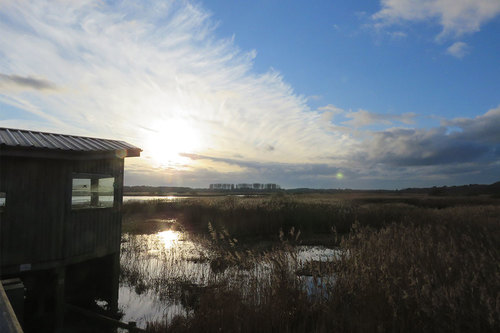 Southwold Arts Festival ~ RSPB Minsmere – 75 years of conservation successes Ian Barthorpe